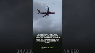 A video captured a plane aborting its landing amid a powerful typhoon in Japan [upl. by Eytteb]