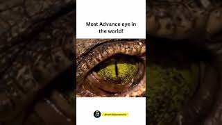 Most advanced eye 👀shortsvairal [upl. by Engedus51]