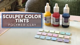 Polymer Clay Review Sculpeys Color Tints [upl. by Ylhsa532]