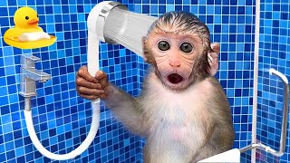 Monkey Baby Bon Bon Bathing In The Bathroom With Eating Fruit With Ducklings Side Swimming Pool [upl. by Lesak]