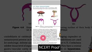 Difference between Polyp and MedusaNEET Biology shortsvideo [upl. by Caldeira]