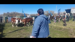 3° BLOQUE CAPÍTULO 1162 EL SENTIR PATAGÓNICO HD CANAL RURAL BUENOS AIRES [upl. by Ianahs38]