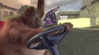 Monkey driving through the Halo campaign trilogy [upl. by Grefe]