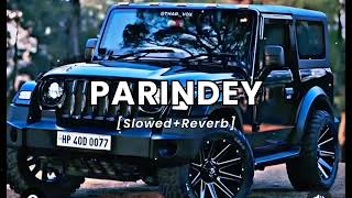 Parindey  SlowedReverb Song  Trending amp Hindi Song 🎶  song trendinghindi [upl. by Latoyia904]