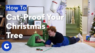 How To CatProof Your Christmas Tree  Chewtorials [upl. by Davena]