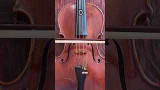 Strings of the violin shorts [upl. by Gawen]