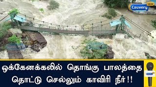 ஒக்கேனக்கலில் தொங்கு பாலத்தை தொட்டு செல்லும் காவிரி நீர்  Cauvery Flood  Hogenakkal [upl. by Galitea]