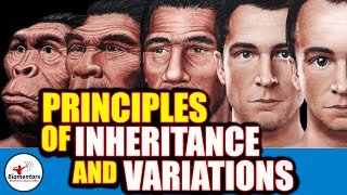 Principles Of Inheritance amp Variations l Lecture 16 amp 17 l Biology l NEET [upl. by Reube]