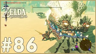 Zelda Breath Of The Wild  Molduking 86 [upl. by Holbrook]