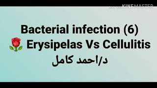 6 Erysipelas Vs cellulitis 👉 Bacterial infection by Dr Ahmed Kamel [upl. by Borlow]