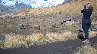 Near ABC Basecamp small lake pokhara pokhara travel abctrekking mountains himalayas [upl. by Adnilrem]