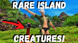 Island Sanctuary RARE CREATURES [upl. by Kela]