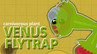 MOPEIO  VenusFlytrap EATS MOUSE ALIVE  DesertUpdate  TEASER 78 [upl. by Ram930]