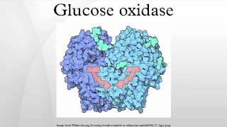 Glucose oxidase [upl. by Dahaf]