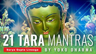 All 21 Tara Mantras powerful Surya Gupta Lineage sung by the Amazing Yoko Dharma [upl. by Georges]