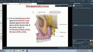 The Pterygopalatine fossa  Dr Ahmed Farid [upl. by Adest937]