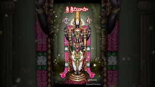 Sri srinivasam shorts ytshorts devotional srivenkateswaraswamy venkateswaraswami babyaasritha [upl. by Elenahc]