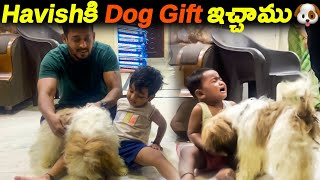 Havishకి Dog 🐶Gift ఇచ్చాము  Kuyya Vlogs [upl. by Fromma]