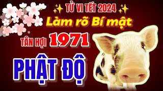 Tử vi tết 2024  LÀM RÕ BÍ MẬT  Tân Hợi 1971 phật độ LÀM NHỎ TRÚNG TO [upl. by Glaser]