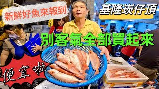 基隆崁仔頂～新鮮好魚來報到～別客氣全部買起來～石斑魚、嘉志、鸚哥、赤翅仔、黑格、紅目鰱、圓白鯧、綠石老、三牙、嘉納、黃雞、剝皮、金龍～深夜糶手拍賣（1131026 [upl. by Saffren87]