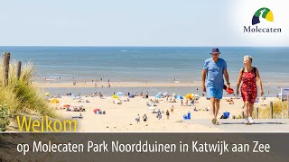 Welkom op Molecaten Park Noordduinen Katwijk aan Zee ZuidHolland [upl. by Telracs531]