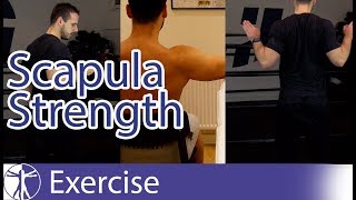 Scapula Strengthening Exercises  Early Shoulder Rehab [upl. by Isiahi]