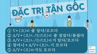 ĐẶC TRỊ 5 CẤU TRÚC LIÊN QUAN ĐẾN 알다모르다 [upl. by Ap]