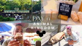 ORLANDO DAY 6  ANIMAL KINGDOM  BASIN AT DISNEY SPRINGS  SEPTEMBER 2023 [upl. by Poppy]