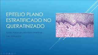 Laboratorio de histología epitelio plano estratificado queratinizado y no queratinizado [upl. by Iaria715]