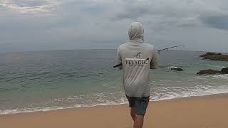 Needlefish Jigging amp Surf Fishing [upl. by Hauser724]