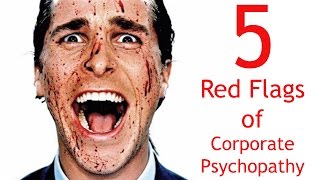 Fine Bros Entertainment  5 Red Flags of Corporate Psychopathy [upl. by Erroll]