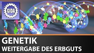 Trailer  Molekulare Genetik  Weitergabe des Erbguts  Biologie  Schulfilm [upl. by Chaudoin248]