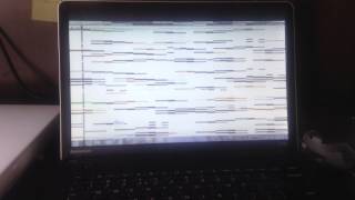 Lenovo Thinkpad problem [upl. by Elletnuahs]