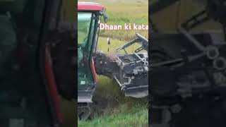 baauki xori giri ki bhanji funny love [upl. by Droffilc]