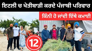 ਇਟਲੀ ਚ ਖੇਤੀਬਾੜੀ ਕਰਦੇ ਪੰਜਾਬੀ ਪਰਿਵਾਰ 🇮🇹 Farming in Italy  Punjabi Travel Couple  Ripan Khushi [upl. by Cirilla751]