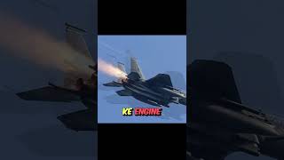 F15 Pilot Saved By Aviation Enthusiast amazingfacts aircrashinvestigation factsair factsinhindi [upl. by Neidhardt]