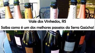 Tour Vale dos Vinhedos  Rio Grande do Sul [upl. by Orland333]