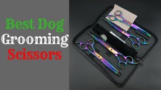 Best Dog Grooming Scissors 2019 [upl. by Acul]