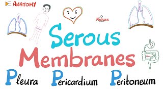 Serous Membranes Mesothelium  3P’s  Pleura Pericardium Peritoneum  Transcellular fluid [upl. by Janessa]