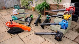 A buyers guide to leaf blowervacuums [upl. by Ecinhoj]