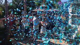 Confetti Cannon Gender Reveal [upl. by Otilegna]