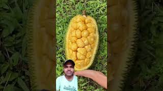 Amezing fruit 🍑🍓  reaction video  green screen video shorts short [upl. by Plusch]