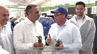 Francis Rodríguez visita varias cooperativas del sector agrícola en Huétor Tájar [upl. by Aleunamme544]