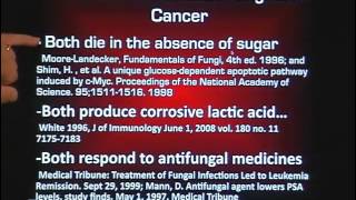 Is it Fungus or is it Cancer Doug Kaufmann  Know The Cause [upl. by Marinelli]