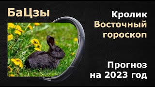 БАЦЗЫ Прогноз на 2023 год кролика [upl. by Kilmarx]