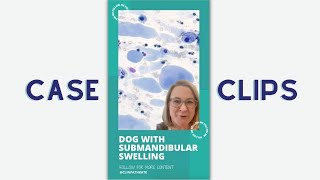 Cytology Case Clips Dog with Weird Submandibular Swelling [upl. by Aisyla595]