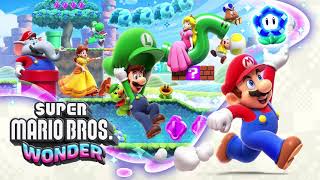 Super Mario Bros Wonder  Wonder Effect [upl. by Eirrehc]