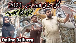 Largest Wholesale Fish Market  Lahore ki Sabse Bari Or Sasti Fish Market  November 2024 [upl. by Wilsey]