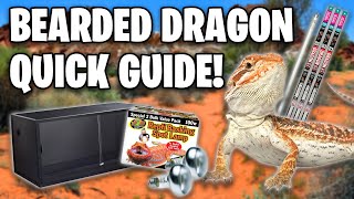 Bearded Dragon Care Guide  Beginners Guide [upl. by Hardman921]