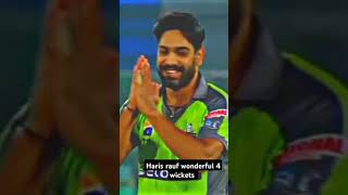 Wond a amazing 😻 wickets [upl. by Nauq846]